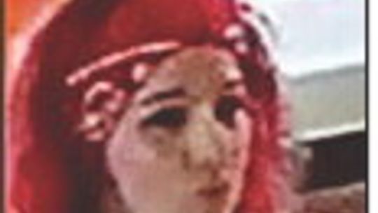 BBPD detectives request assistance regarding theft