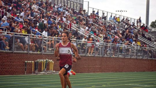 Cecilia, Breaux Bridge athletes reach state meet