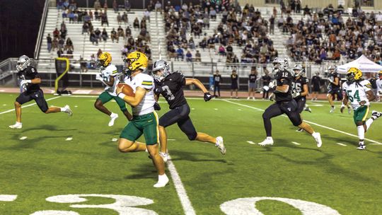 Cecilia rallies to beat Lakeshore