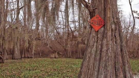 It could soon become easier to build in Louisiana wetlands