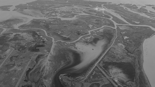 NOAA predicts Gulf “dead zone” will be about 5,500 square miles