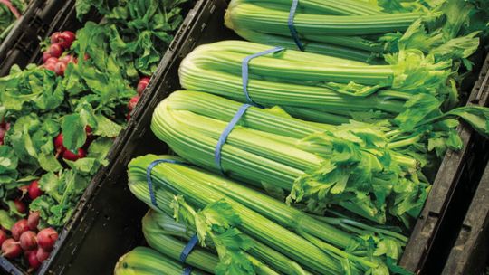Parasitic food poisoning illnesses on the rise in Louisiana