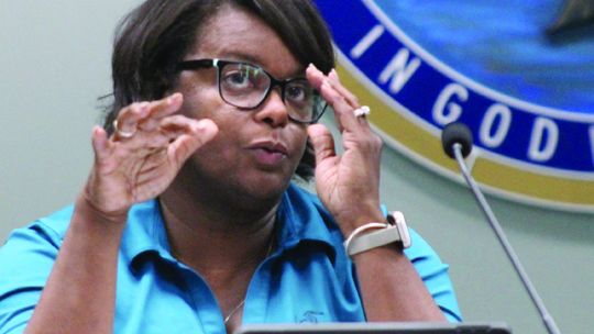 Parish defers agreement with LCG over Metairie Place subdivision