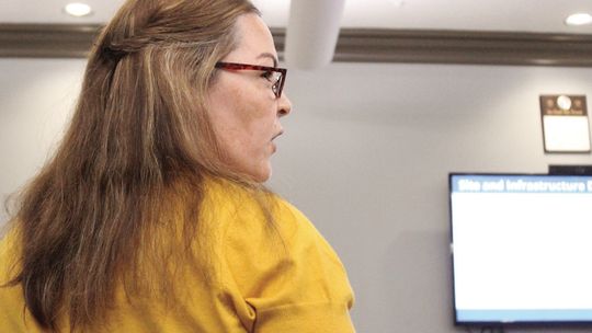 School Board hears from SMEDA director, LSU AgCenter reps