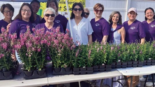 Spring plant sale