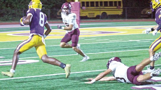 St. Martinville wins parish championship