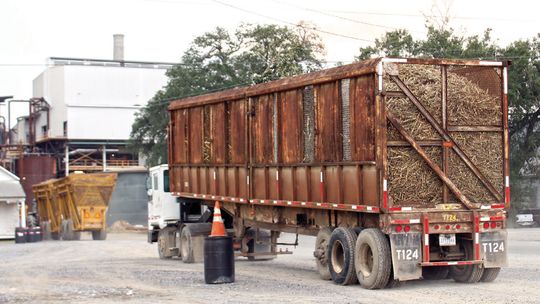 Sugar cane grinding season begins at LaSuCa factory