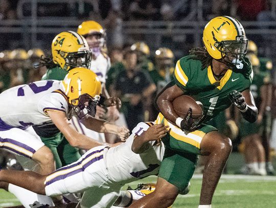 Briscoe taking role of lead ballcarrier for Bulldogs