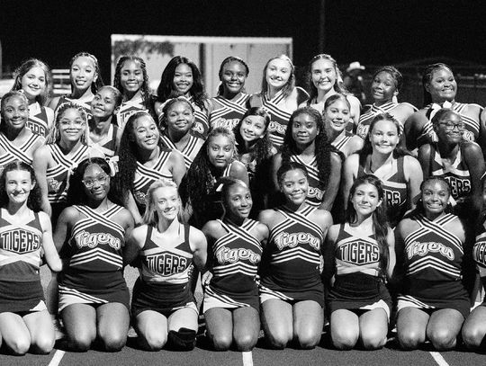 CHEER SQUADS