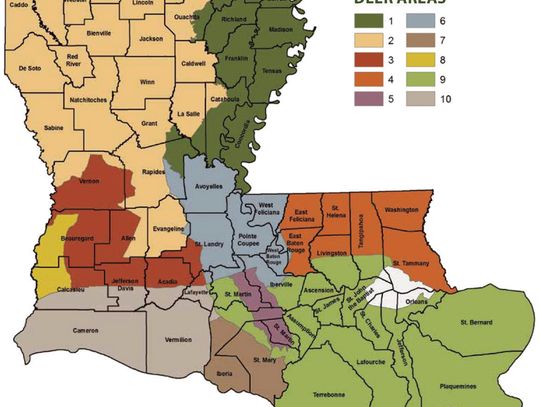 Deer season underway in state; hunters reminded of new Deer Area 1 limits