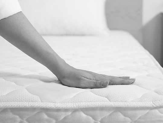 Do you have bed bugs?