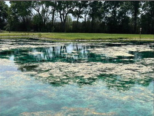 Free fishpond workshop set for May 19 in Breaux Bridge