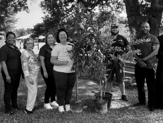 Garden Club celebrates Arbor Day