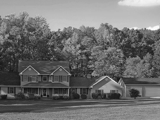 How trees and plants can change the look of a landscape