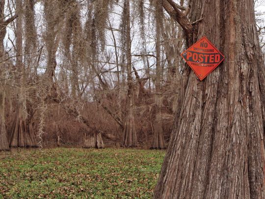 It could soon become easier to build in Louisiana wetlands