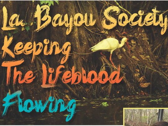 La Bayou Society Keeping The Lifeblood Flowing
