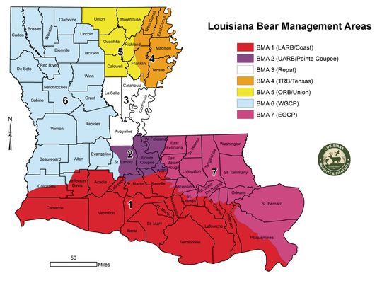 La. Black Bear Hunting Lottery opens July 28