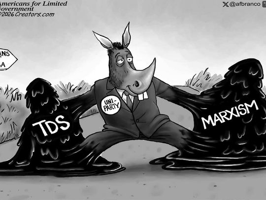 La. voters reject Cassidy and his costly healthcare policies