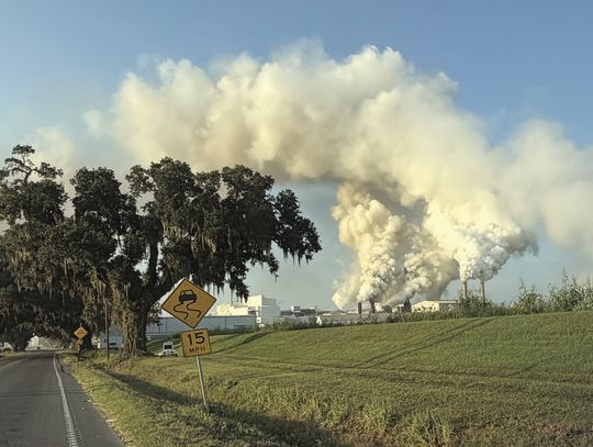 LaSuCa factory expects to process more sugar cane than last year