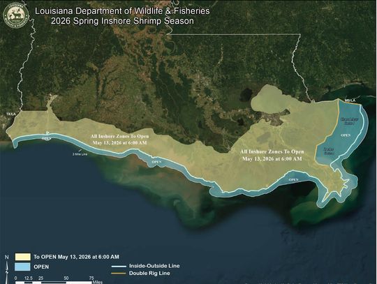 LDWF sets opening for inland shrimp season in Louisiana