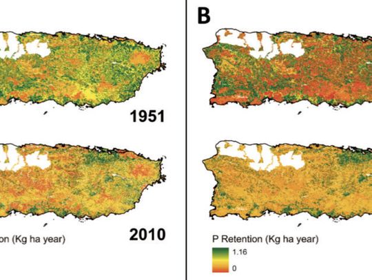 LSU scientists use AI to fill gaps in ‘dead zone,’ water quality research