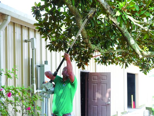Need to remove a branch? Follow these steps