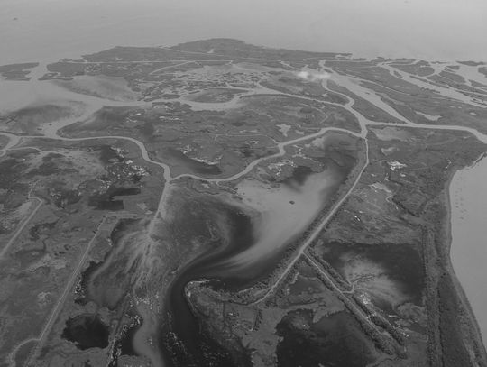 NOAA predicts Gulf “dead zone” will be about 5,500 square miles