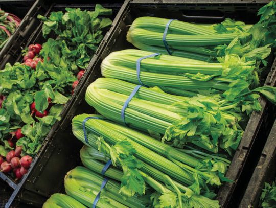 Parasitic food poisoning illnesses on the rise in Louisiana