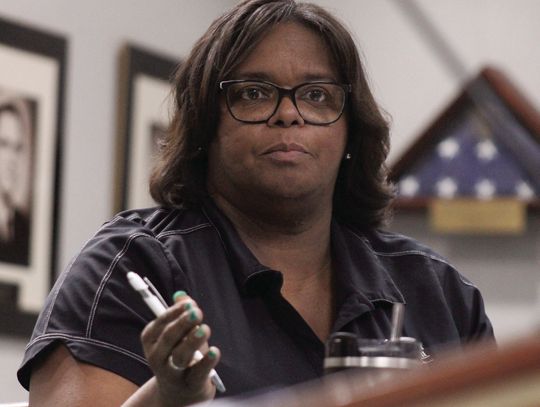 Parish Council hears concerns about trees along drainage canals