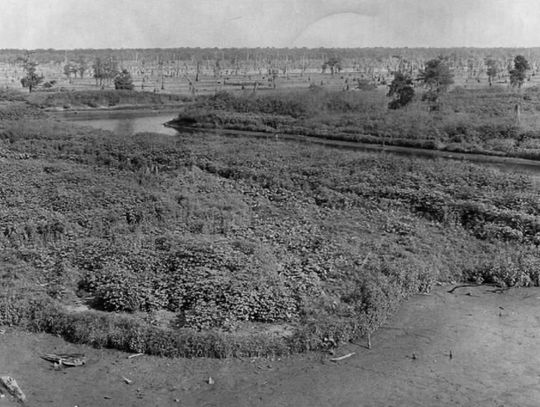 - Picture from the past