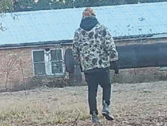 Sheriff’s Office asking for help with burglaries on Roman Robin Road