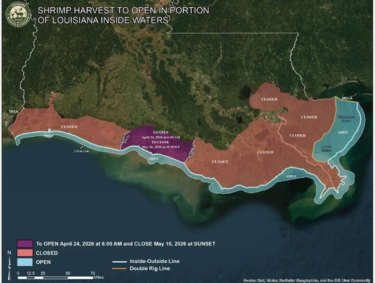 Special shrimp season to open Friday, Apr. 24