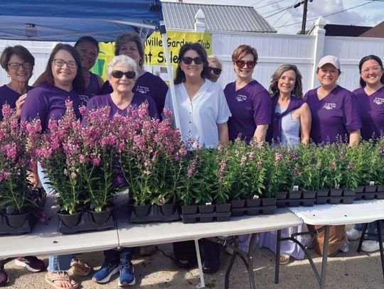 Spring plant sale