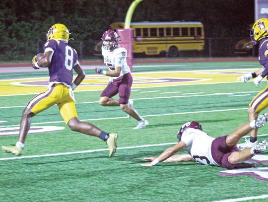 St. Martinville wins parish championship
