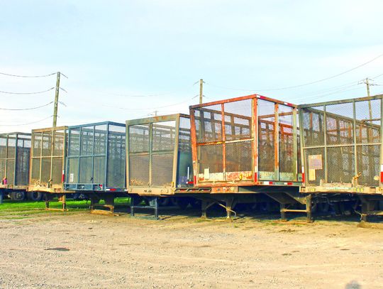 Sugar cane processing completed on Dec. 27