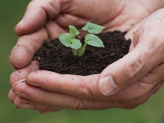 The effects of soil degradation