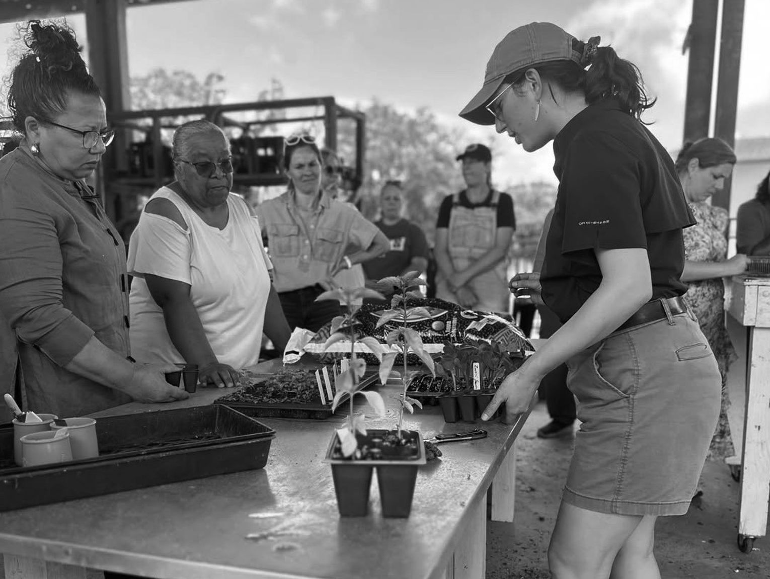 LSU AgCenter workshop trains educators to bring school gardens into the classroom