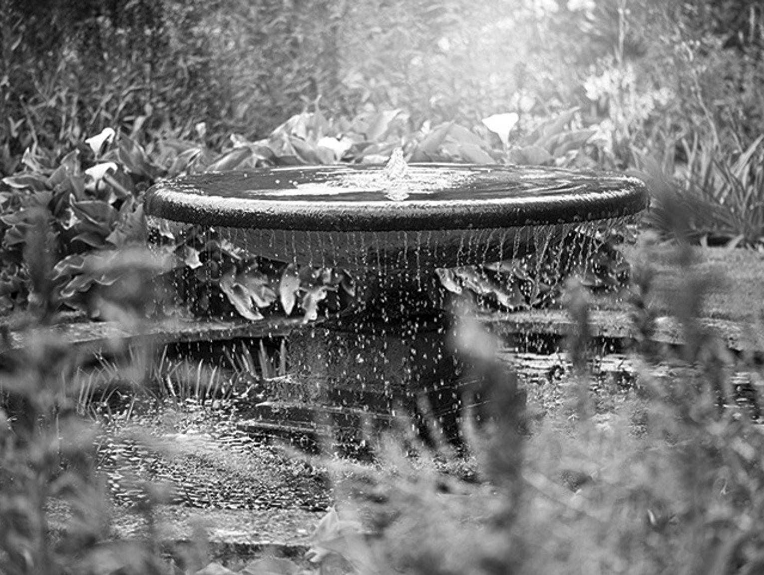 Unique features for outdoor living spaces