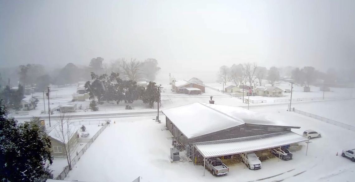 2025: The year in review