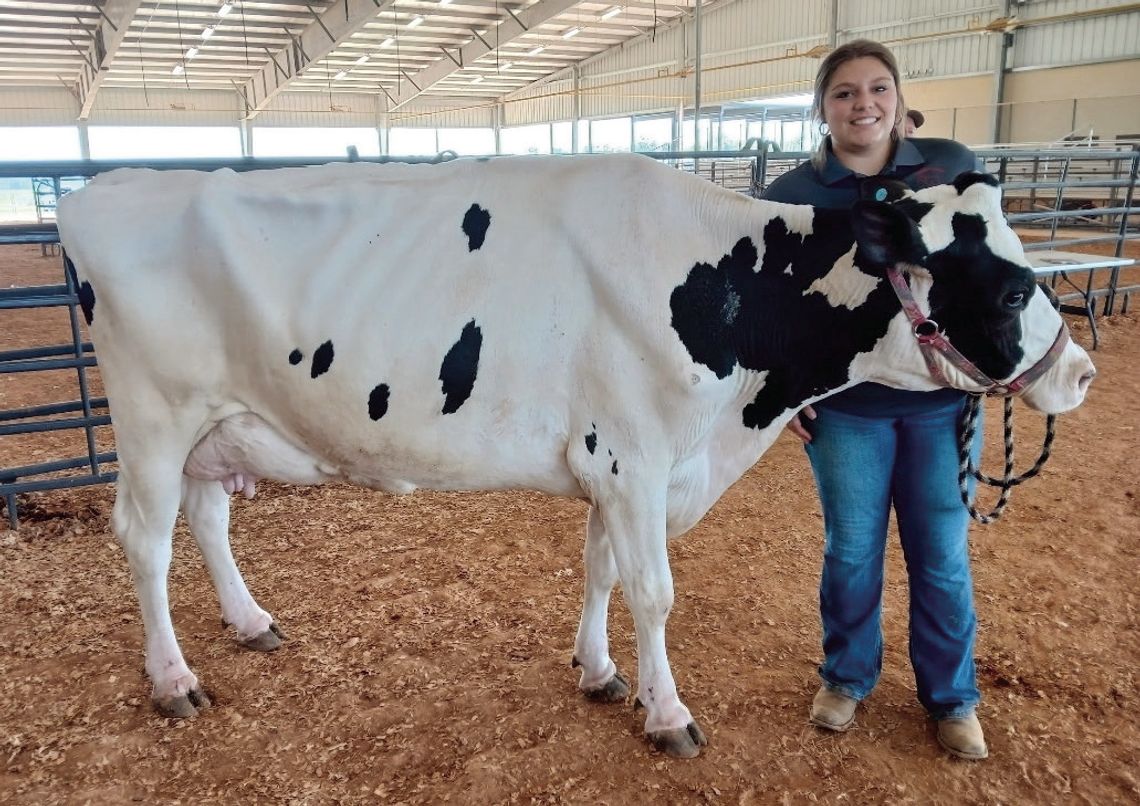 88th annual Livestock Show this Saturday
