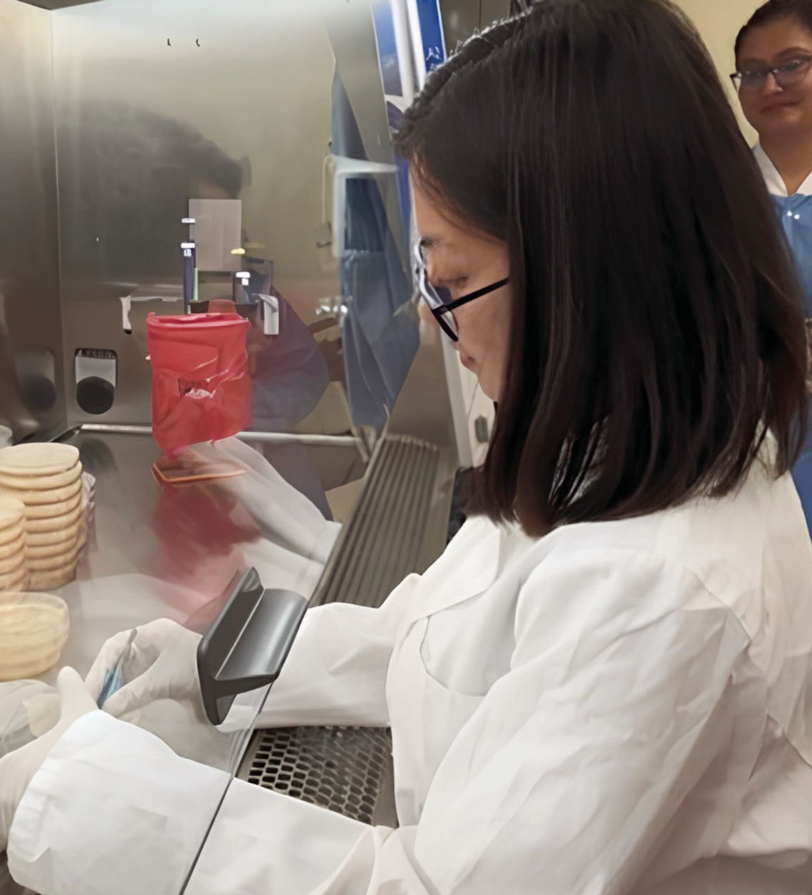 AgCenter microbiology research focuses on food protection from field to shelf