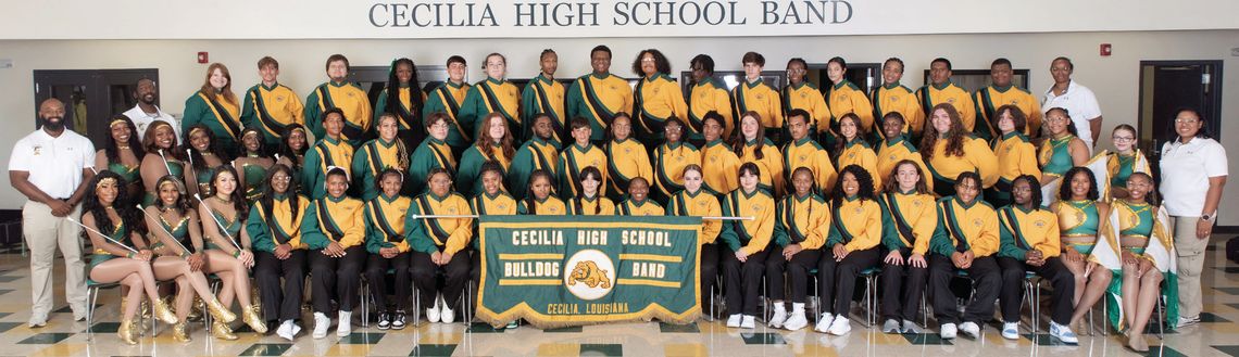 CECILIA HIGH BAND