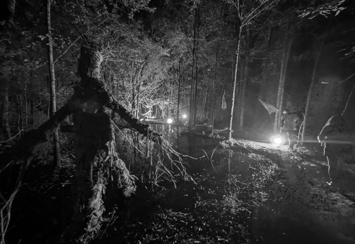 Discover the Enchanted Forest during art reception at Atelier Discover the Enchanted Forest during art reception at Atelier