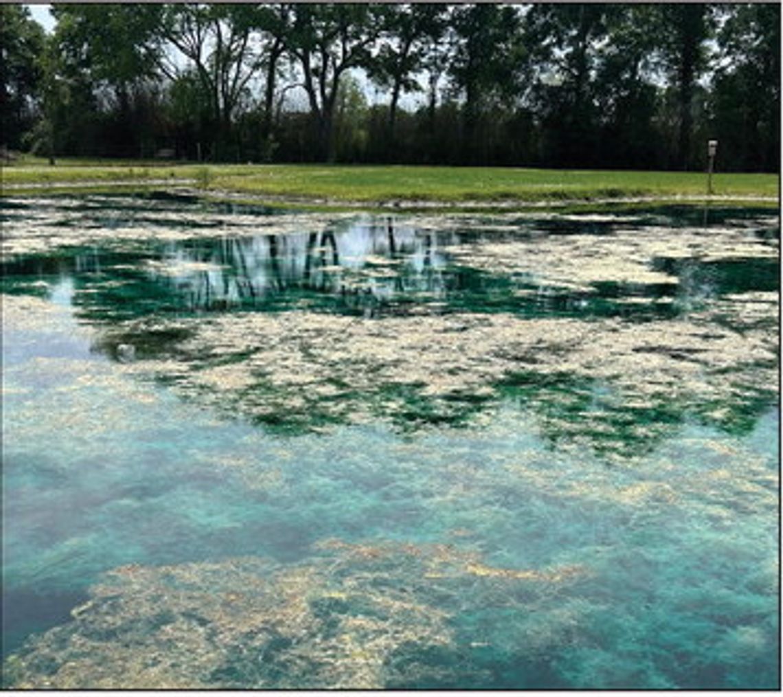 Free fishpond workshop set for May 19 in Breaux Bridge