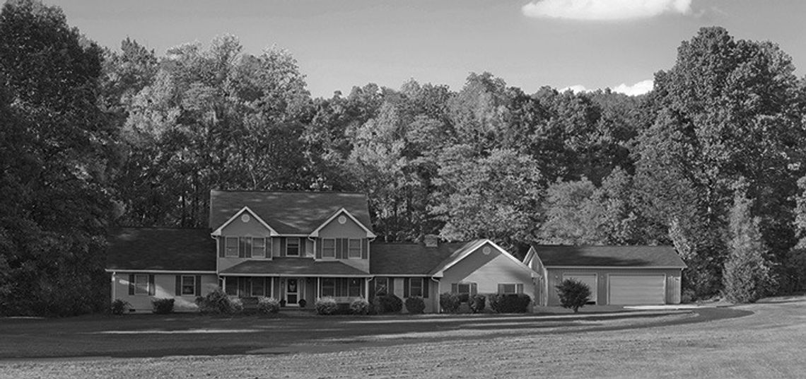 How trees and plants can change the look of a landscape How trees and plants can change the look of a landscape