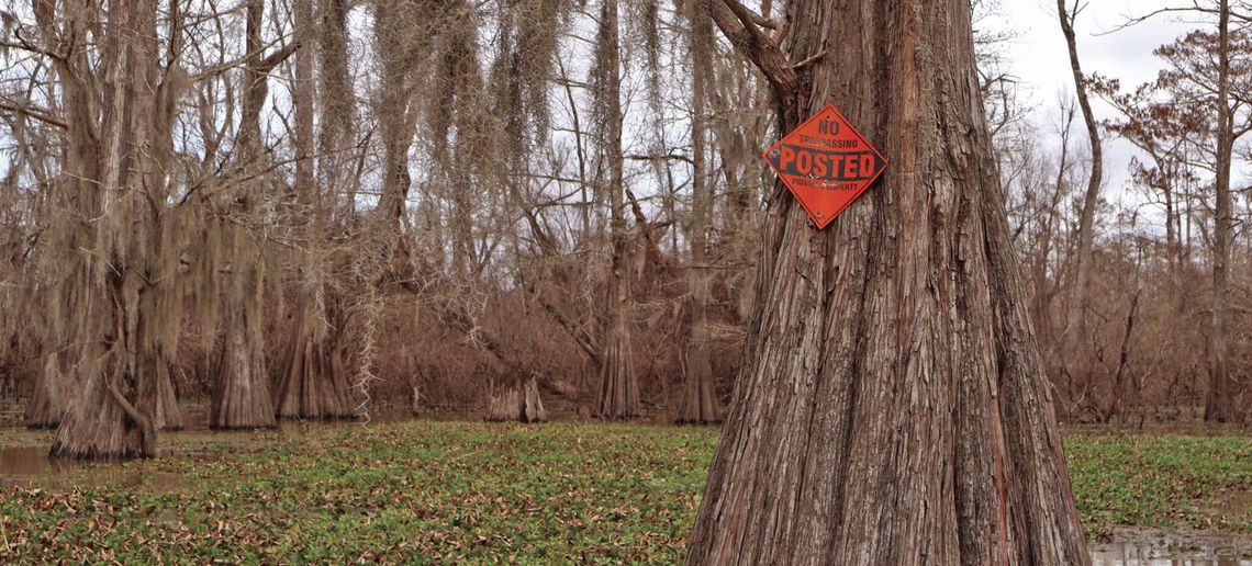 It could soon become easier to build in Louisiana wetlands