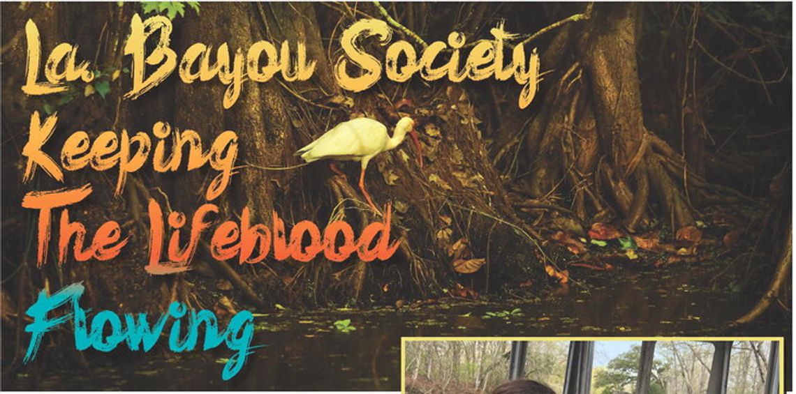 La Bayou Society Keeping The Lifeblood Flowing La Bayou Society Keeping The Lifeblood Flowing