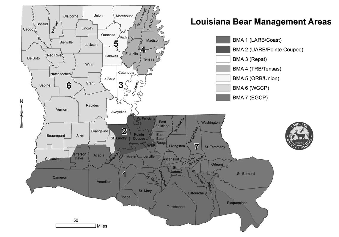 La. black bear hunting lottery now open, Wildlife & Fisheries announces La. black bear hunting lottery now open, Wildlife & Fisheries announces