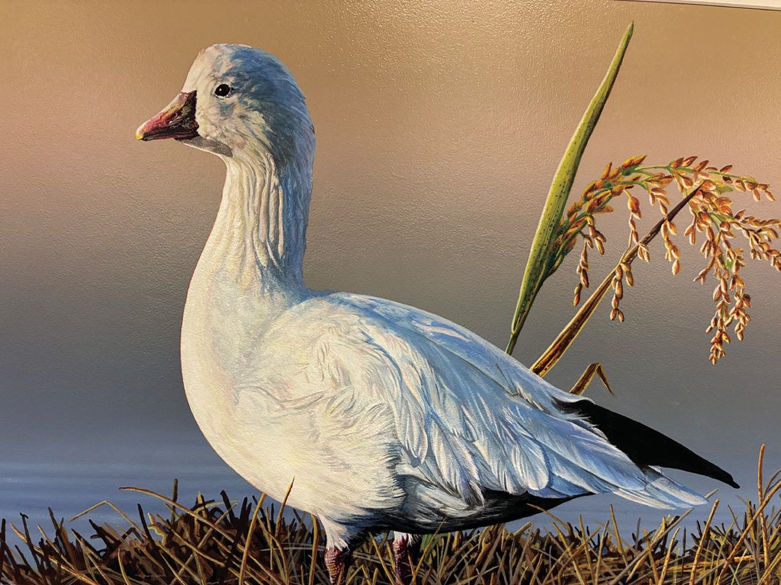 LDWF announces 2027 La. Duck Stamp Contest