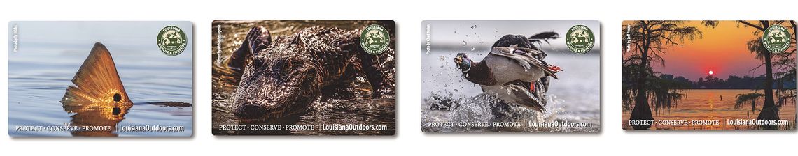 LDWF seeking artwork submissions for next fishing and hunting license hard cards LDWF seeking artwork submissions for next fishing and hunting license hard cards